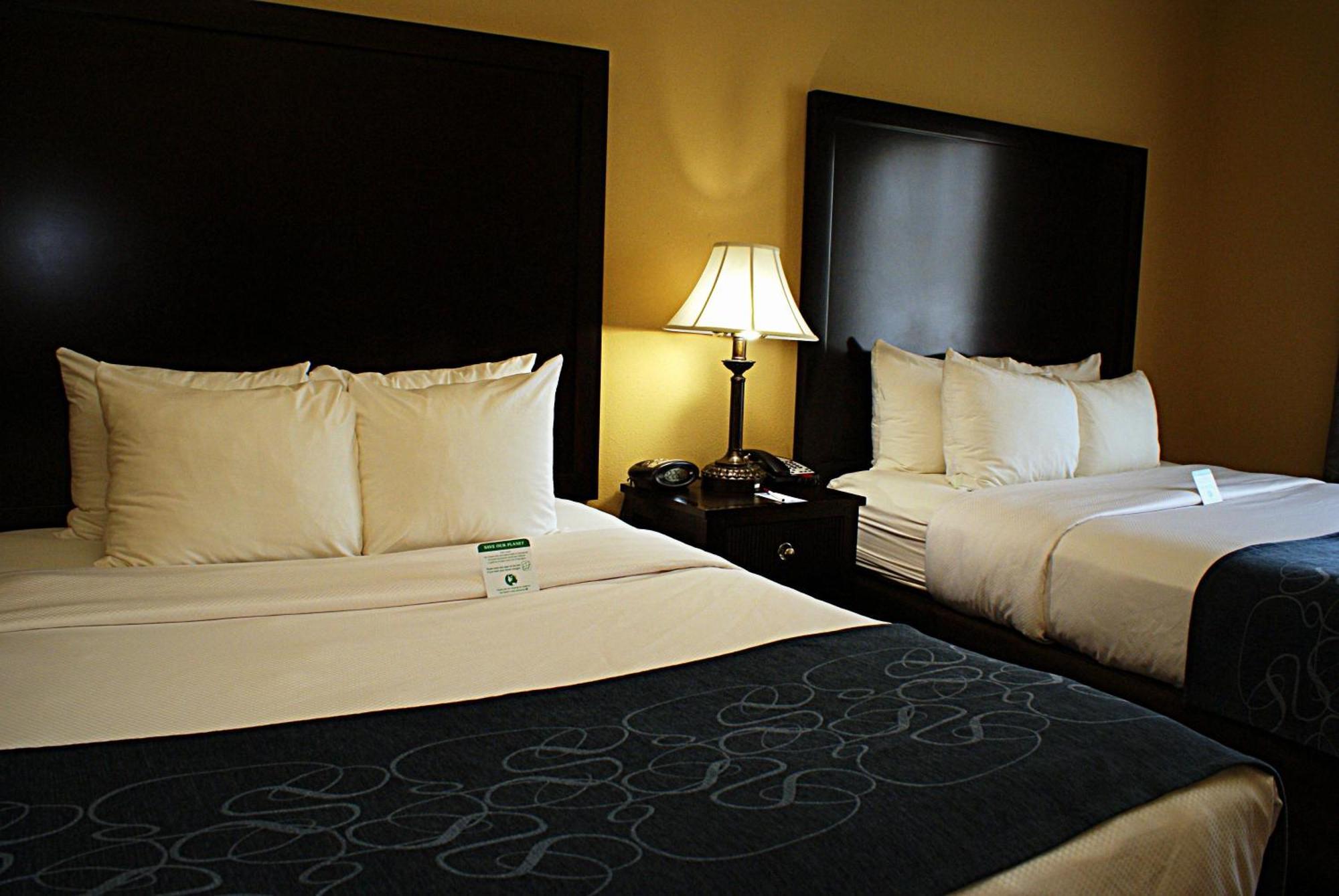 Comfort Suites Frisco Phòng bức ảnh
